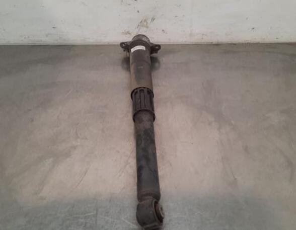 Shock Absorber VW GOLF VIII Variant (CG5), VW GOLF VIII (CD1)