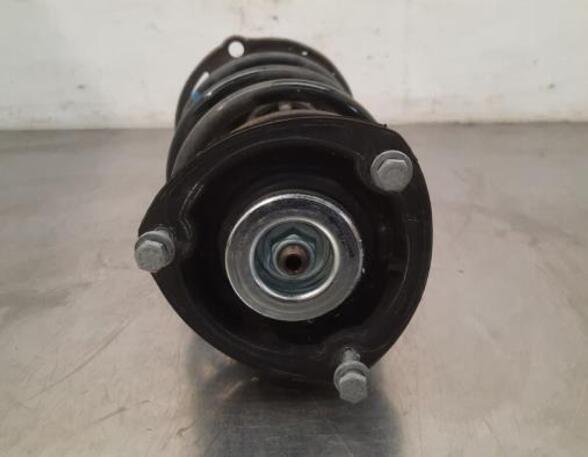 Shock Absorber VW GOLF VIII Variant (CG5), VW GOLF VIII (CD1)