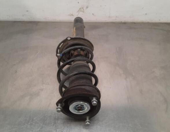 Shock Absorber VW GOLF VIII Variant (CG5), VW GOLF VIII (CD1)