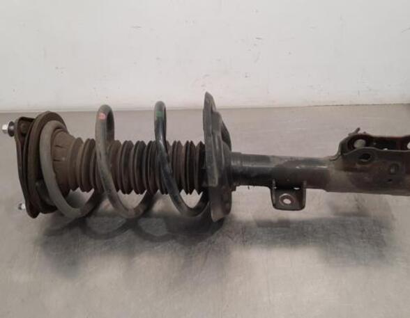 Shock Absorber TOYOTA RAV 4 V (_A5_, _H5_)