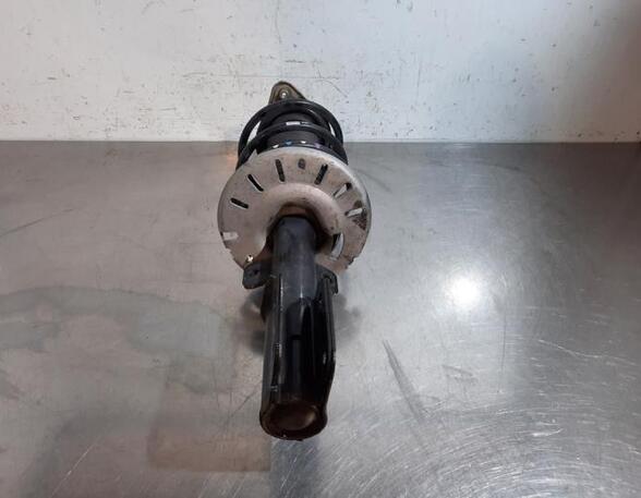 Shock Absorber PEUGEOT 308 SW II (LC_, LJ_, LR_, LX_, L4_)