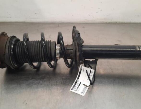 Shock Absorber VW GOLF VII (5G1, BQ1, BE1, BE2)