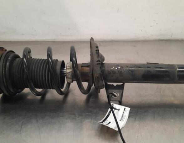 Shock Absorber VW GOLF VII (5G1, BQ1, BE1, BE2)