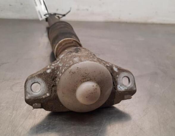 Shock Absorber AUDI Q5 (FYB, FYG)