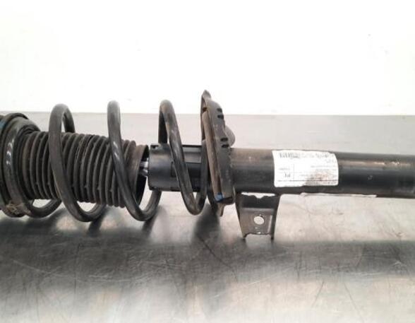 Shock Absorber VW TIGUAN (AD1, AX1), VW TIGUAN ALLSPACE (BW2)