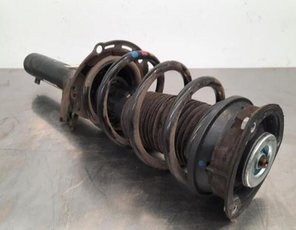 Shock Absorber VW TIGUAN (AD1, AX1), VW TIGUAN ALLSPACE (BW2)