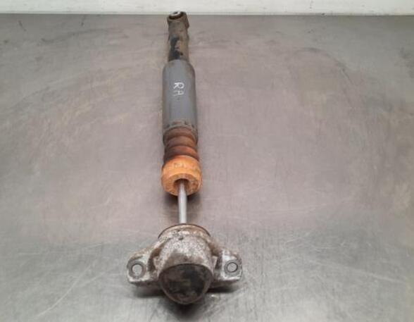 Shock Absorber AUDI Q2 (GAB, GAG)