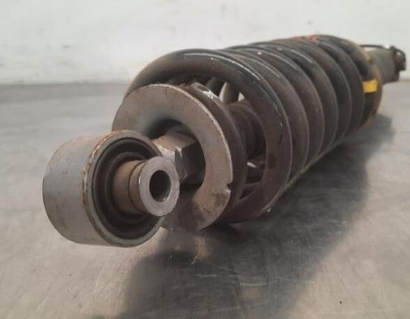 Shock Absorber CITROËN C5 AIRCROSS (A_)