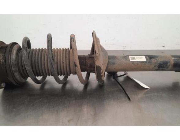 Shock Absorber VW GOLF VII (5G1, BQ1, BE1, BE2)