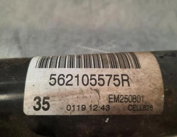 Shock Absorber RENAULT MEGANE IV Hatchback (B9A/M/N_)