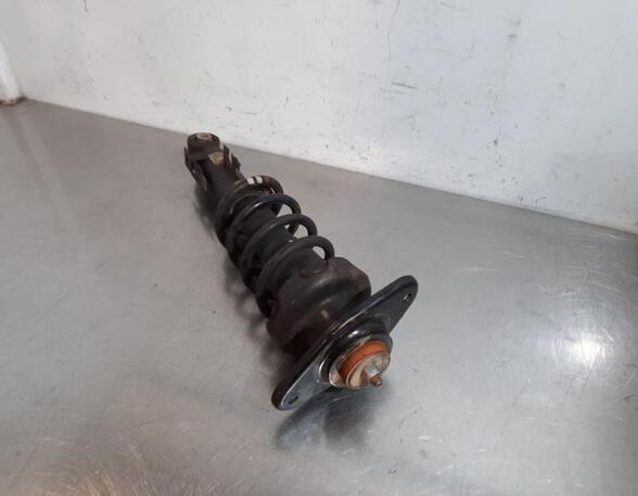 Shock Absorber MINI MINI CLUBMAN (R55)