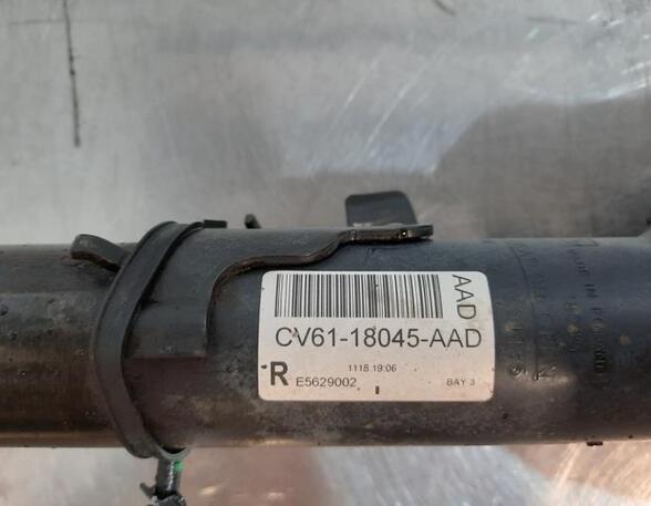 Shock Absorber FORD KUGA II (DM2)