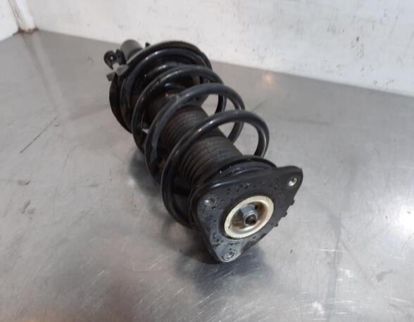 Shock Absorber FORD KUGA II (DM2)