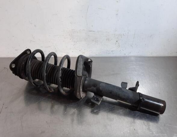 Shock Absorber FORD KUGA II (DM2)