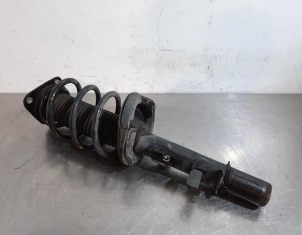 Shock Absorber FORD KUGA II (DM2)