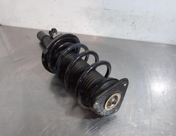 Shock Absorber FORD KUGA II (DM2)