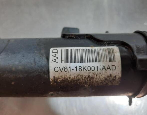 Shock Absorber FORD KUGA II (DM2)