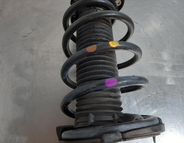 Shock Absorber FORD KUGA II (DM2)