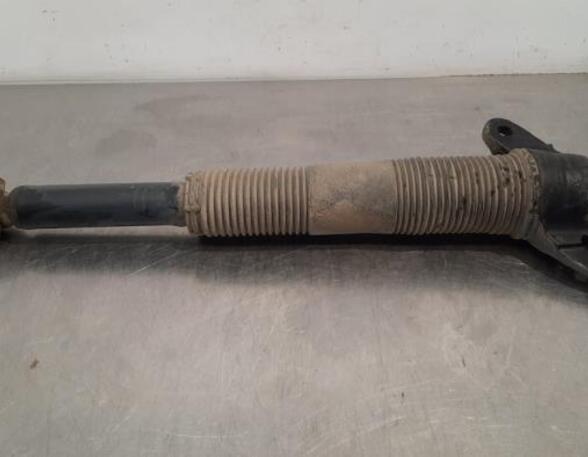 Shock Absorber LAND ROVER DISCOVERY SPORT (L550)