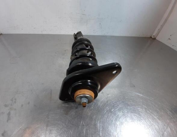 Shock Absorber MINI MINI PACEMAN (R61)