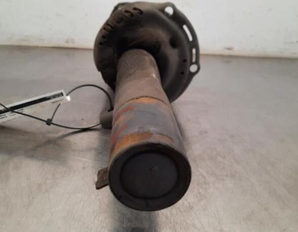 Shock Absorber SKODA KAROQ (NU7, ND7)