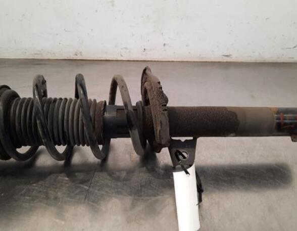 Shock Absorber SKODA KAROQ (NU7, ND7)