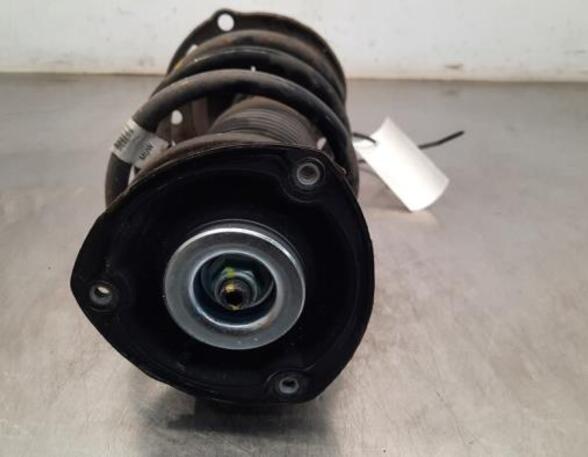 Shock Absorber SKODA KAROQ (NU7, ND7)