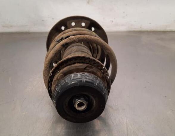 Shock Absorber RENAULT CLIO V (B7_)