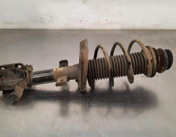 Shock Absorber RENAULT CLIO V (B7_)