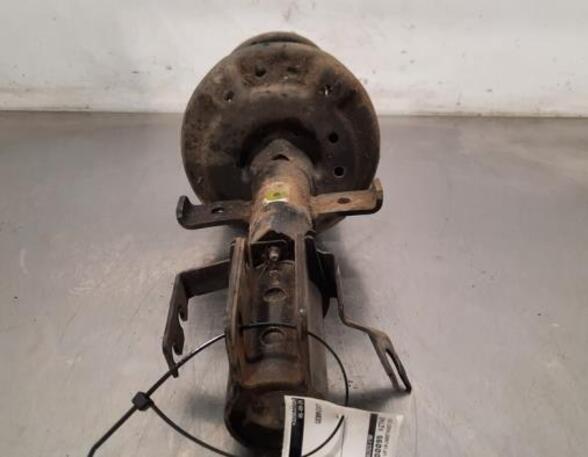 Shock Absorber RENAULT CLIO V (B7_)