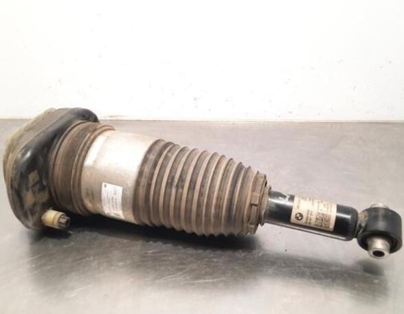 Shock Absorber BMW 5 Touring (G31)