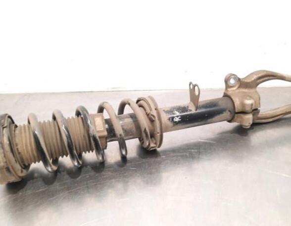 Shock Absorber BMW 5 Touring (G31)