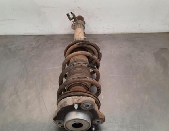 Shock Absorber CITROËN JUMPER Van, FIAT DUCATO Van (250_, 290_), PEUGEOT BOXER Van, OPEL MOVANO C Van (U9)