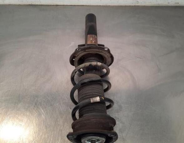 Shock Absorber VW POLO (AW1, BZ1), SEAT IBIZA V (KJ1, KJG)