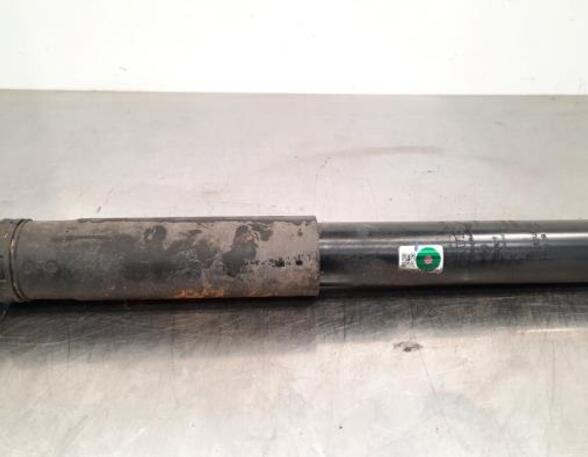 Shock Absorber RENAULT TRAFIC III Van (FG_)