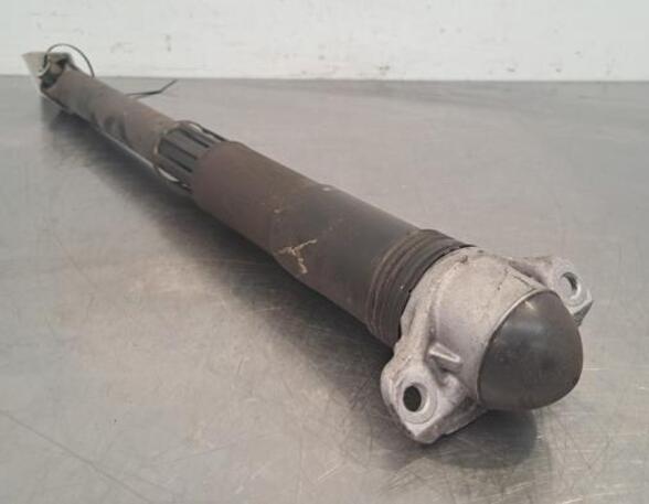 Shock Absorber VW GOLF VIII (CD1)