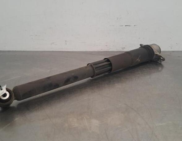 Shock Absorber VW GOLF VIII (CD1)