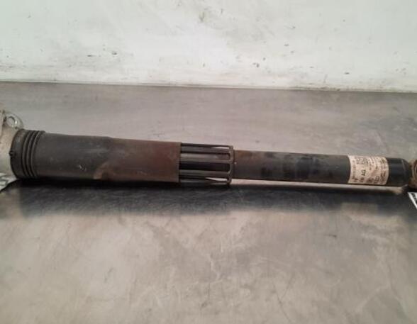 Shock Absorber VW GOLF VIII (CD1)