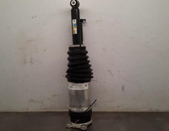 Shock Absorber TESLA MODEL S (5YJS)