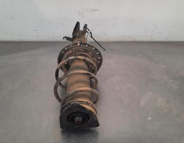 Shock Absorber OPEL CORSA F (P2JO)