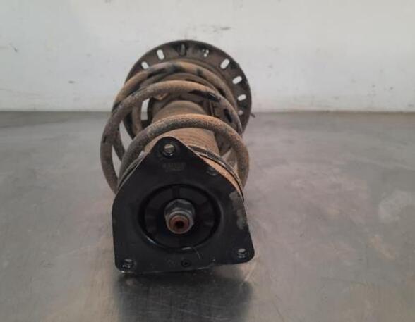 Shock Absorber OPEL CORSA F (P2JO)