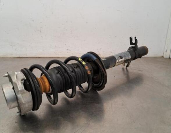 Shock Absorber CITROËN JUMPER Van, PEUGEOT BOXER Van, FIAT DUCATO Van (250_, 290_), OPEL MOVANO C Van (U9)