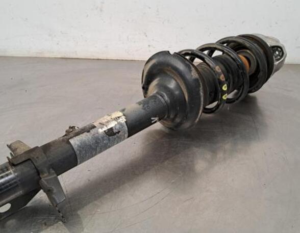 Shock Absorber CITROËN JUMPER Van, PEUGEOT BOXER Van, FIAT DUCATO Van (250_, 290_), OPEL MOVANO C Van (U9)