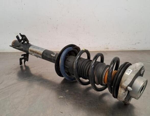 Shock Absorber CITROËN JUMPER Van, PEUGEOT BOXER Van, FIAT DUCATO Van (250_, 290_), OPEL MOVANO C Van (U9)