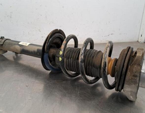 Shock Absorber CITROËN JUMPER Van, PEUGEOT BOXER Van, FIAT DUCATO Van (250_, 290_), FIAT DUCATO Bus (250_, 290_)