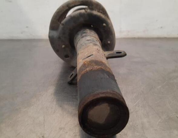 Shock Absorber FORD TRANSIT V363 Platform/Chassis (FED, FFD)