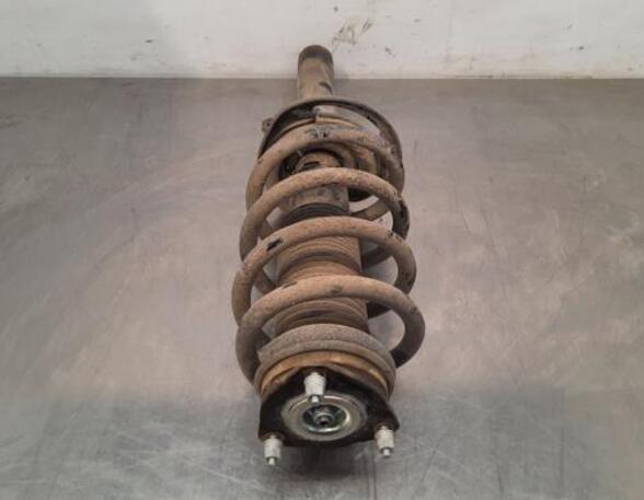 Shock Absorber FORD TRANSIT V363 Platform/Chassis (FED, FFD)