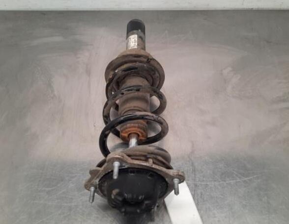 Shock Absorber AUDI A6 Avant (4G5, 4GD, C7)