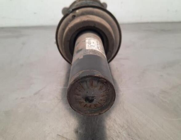 Shock Absorber AUDI A6 Avant (4G5, 4GD, C7)