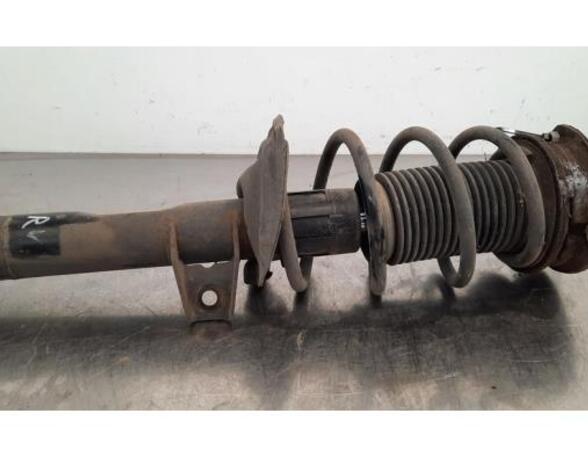 Shock Absorber SKODA SUPERB III Estate (3V5)